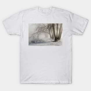 Etched By Snow - Sawhill Carvings T-Shirt